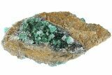 Fluorescent Green Fluorite Cluster - Rogerley Mine, England #184620-1